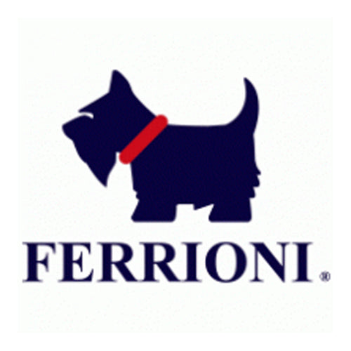Ferrioni